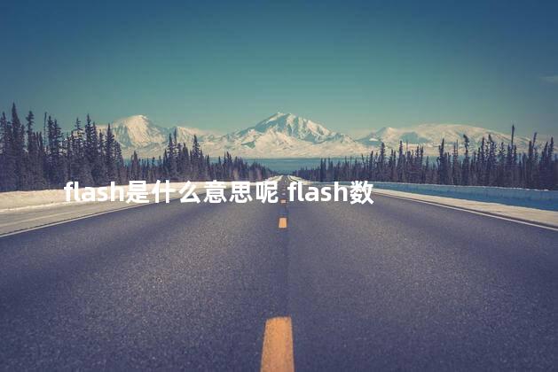 flash是什么意思呢 flash数据是什么意思